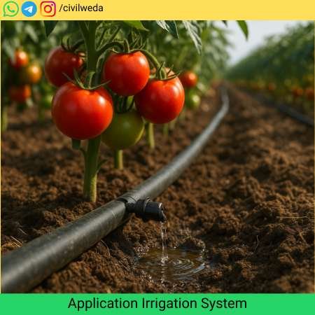 Applications and Crops Suitable for Drip Irrigation Drip irrigation system in tomato field
