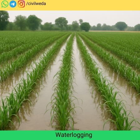 What is Waterlogging