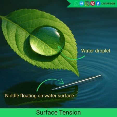 Surface tension example showing water droplet on leaf and needle floating on water surface.