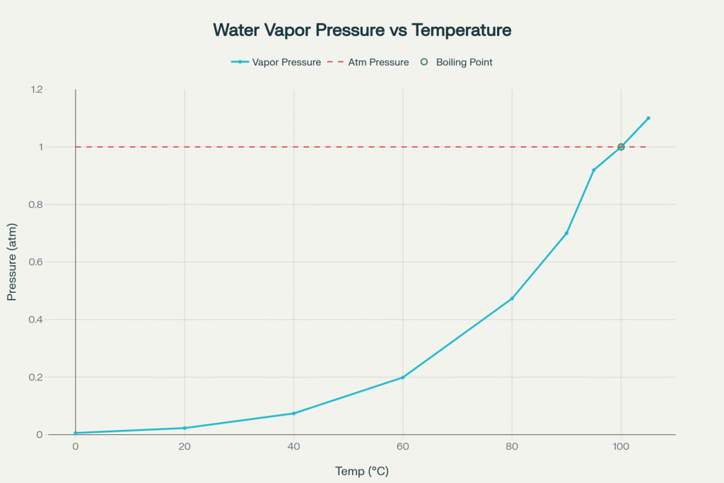 A graph showing the variation of water vapour pressure with temperature. The curve rises steeply and meets the atmospheric pressure line at 100°C, indicating the boiling point of water.