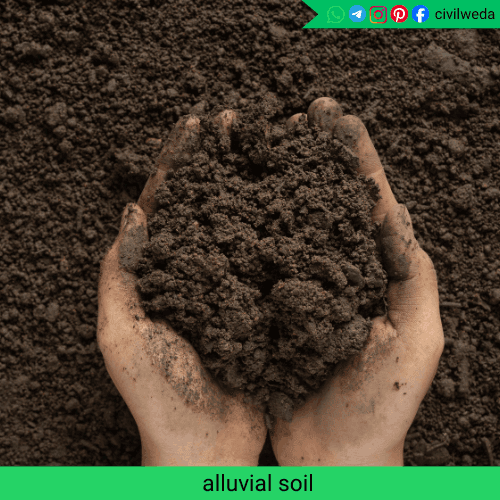 Alluvial soil held in hands showing moist, fine-grained texture formed by river deposition in flood plains.