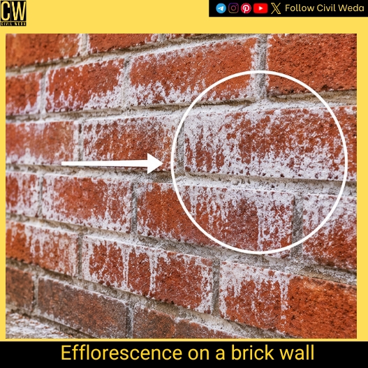 White efflorescence on a brick wall caused by moisture carrying soluble salts to the surface.